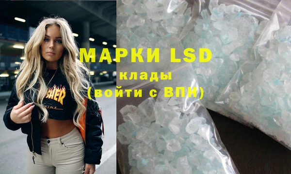 стафф Осташков