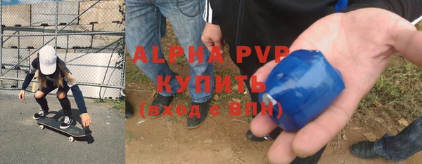 стафф Осташков