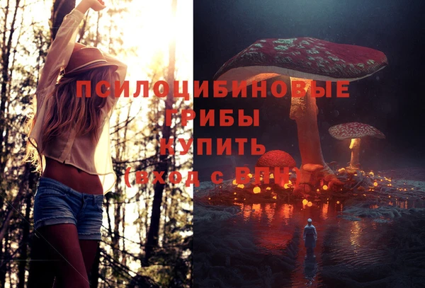 ешки Щигры