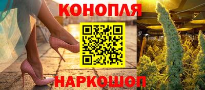 сатива Будённовск