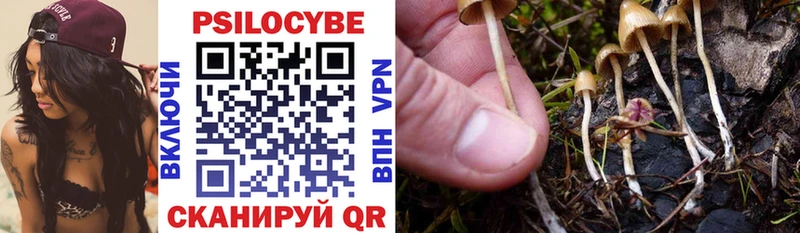 Галлюциногенные грибы мицелий Кубинка