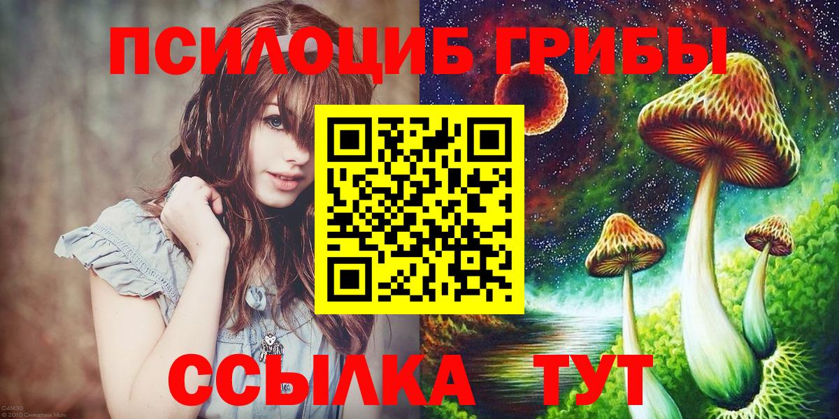наркотики  Вход с VPN  Псилоцибиновые грибы Cubensis  Кубинка  Псилоцибиновые грибы Cubensis 